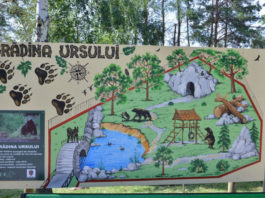 Grădina Zoologică din Capitală va dispune de un Centru de Instruire și Observare