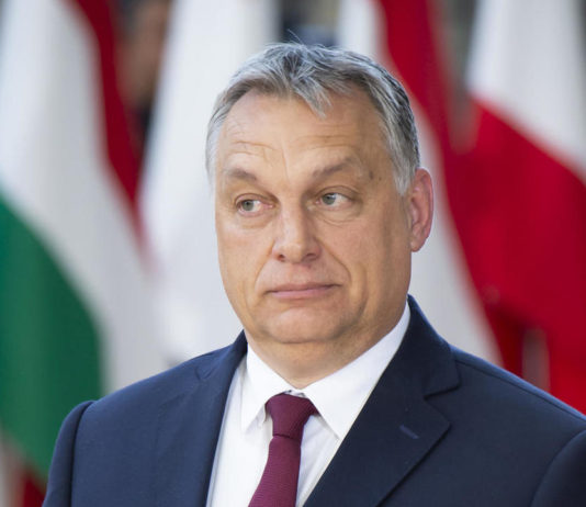 Victor Orban vine cu un grup de oameni de afaceri, care sunt gata să investească în Moldova