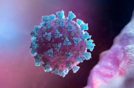 Cabinetul de miniștri va aloca 25,3 mln de lei pentru achitarea indemnizaţiilor angajaţilor infectaţi cu COVID-19