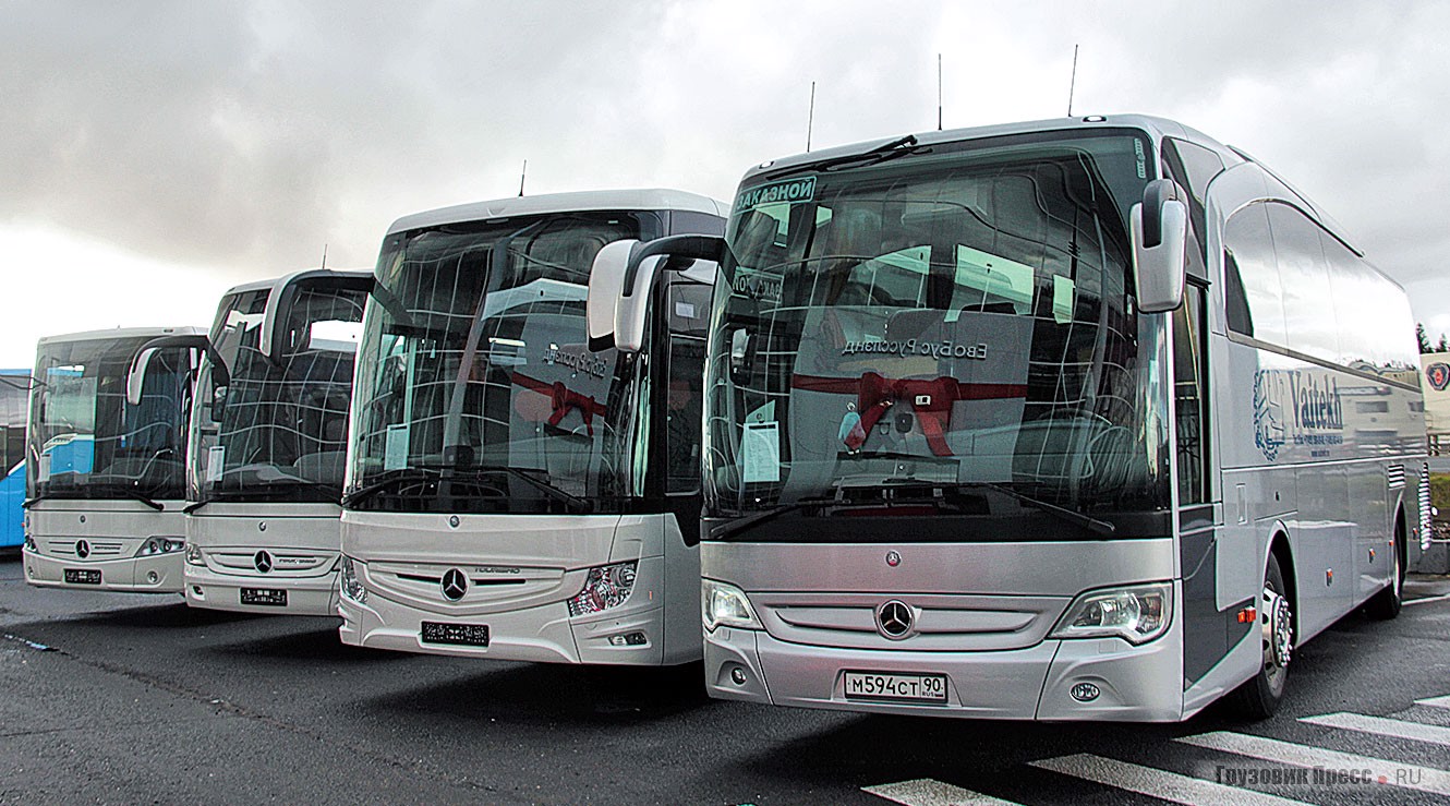 Несколько автобусов. Mercedes Benz Setra. Автобус Мерседес сетра. Автобус Mercedes Benz Tourismo 2000. EVOBUS (Mercedes-Benz/Setra) o 309.