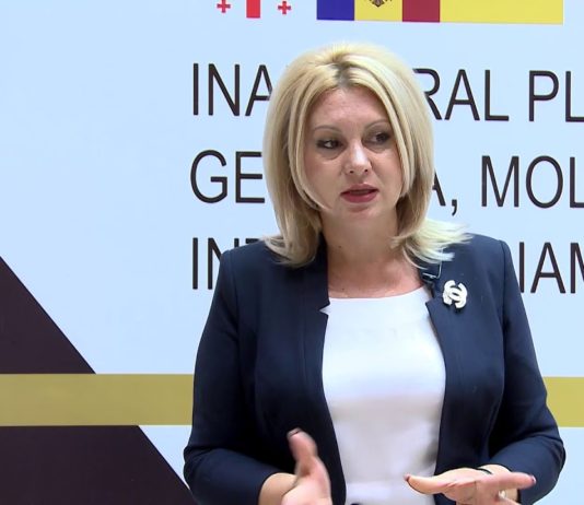 Violeta Ivanov este deputatul din numele căruia Ștefan Gațcan a primit oferta de 500 de mii de euro