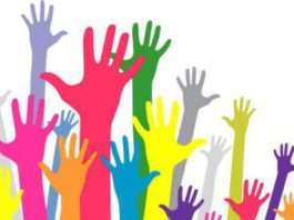 Un expert economic anunță că ONG-urile, care au anunțat un exit poll ILEGAL, trebuie lichidate, iar activele acestora, confiscate în folosul statului