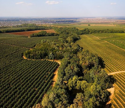 DOC // Proba care demonstrează că Maia Sandu vrea să permită vânzarea pământului agricol pentru cetățenii străini