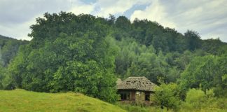 FOTO // „Casa părintească nu se vinde”. Vicepreședintele r. Telenești, îngrijorat de inițiativa Maiei Sandu de a vinde pământurile străinilor