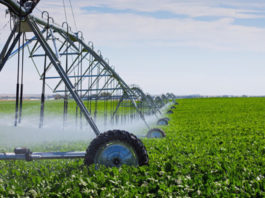 Igor Dodon: Trebuie să revenim la un concept național de reabilitare a sistemelor de irigare, fără de care vom pierde agricultura