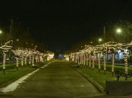 Ion Ceban: Aleea Grigore Vieru, gata de sărbătoare. Cum arată aceasta, după ce a fost decorată