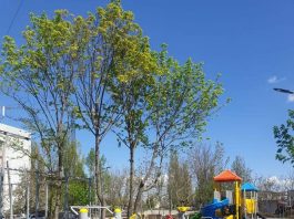 Edilul capitalei: Două terenuri de joacă şi unul de fitness au fost deja instalate în zona verde amenajată în str. Ialoveni