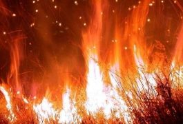 Incendiu de proporție în estul Spaniei din cauza vântului și a secetei