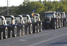 Producătorii de sfeclă de zahăr se alătură protestelor fermierilor și cer acordarea subvențiilor