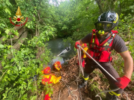 Un moldovean a murit în Italia într-un teribil accident rutier