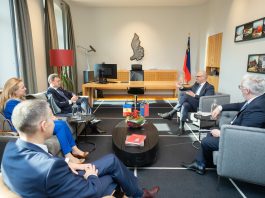 Premierul Dorin Recean a avut o întrevedere cu omologul său din Liechtenstein, Daniel Risch