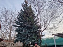 Ion Ceban revine la activitatea oficială, mulțumind pentru susținerea primită