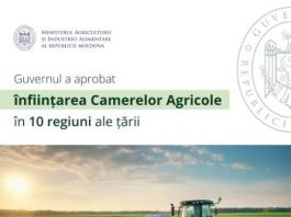Mai mult sprijin pentru fermieri: Guvernul a aprobat crearea camerelor agricole
