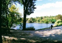Parcul „Valea Trandafirilor” continuă să fie modernizat. Ce lucrări au fost finalizate