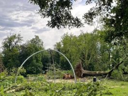 Tragedie în Belgia: Un bebeluș de două luni a murit lovit de o creangă în timpul unei furtuni