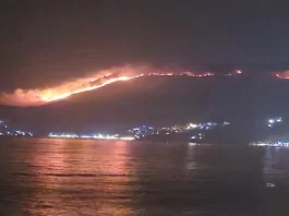 Albania se confruntă cu incendii masive în sudul țării, ajutorul UE este solicitat