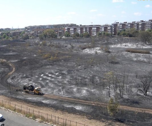 Patru pompieri, răniți grav în incendiul uriaș de vgetație la est de Roma