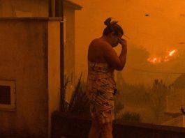 Portugalia se confruntă cu incendii forestiere devastatoare