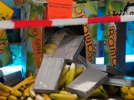 Germania: Cocaină de șapte milioane de euro găsită în lăzi de banane