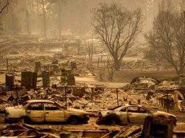 Primarul din Tampa Bay avertizează locuitorii: „Dacă rămâneți, veți muri”