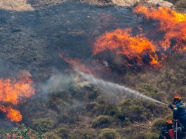 Grecia înfruntă un incendiu de pădure devastator: Două victime și mii de hectare mistuite de flăcări