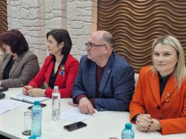 Urgentarea aprobării Legii privind statutul municipiului Bălți, abordată de Alexandr Petkov la întâlnirea cu delegația Consiliului Europei