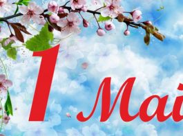 Victoria Furtună, de 1 Mai: „Moldova trebuie să fie o țară în care munca e respectată, nu doar lăudată”