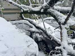 Ninsoare neobișnuită în mai: Peste 26.000 de locuitori din regiunea Moscova au rămas fără curent electric