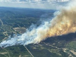 Incendiu de vegetație în Alberta, Canada: 1.200 de oameni evacuați și operațiuni petroliere oprite