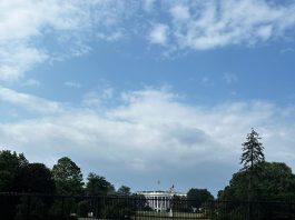 Nina Cereteu, în Washington: Sunt impresionată de interesul partenerilor din SUA pentru orașele noastre și Republica Moldova în general