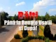 Doar unele realizări ale lui Renato Usatîi ca primar al municipiului Bălți!