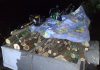 Defrișări ilegale depistate în raionul Râșcani: Arbori tăiați fără autorizație