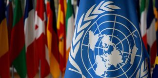 ONU împlinește 80 de ani: Chișinăul continuă colaborarea pentru dezvoltare durabilă