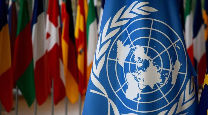 ONU împlinește 80 de ani: Chișinăul continuă colaborarea pentru dezvoltare durabilă