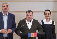 Berlinschii solicită publicarea CV-urilor miniștrilor propuși de Munteanu