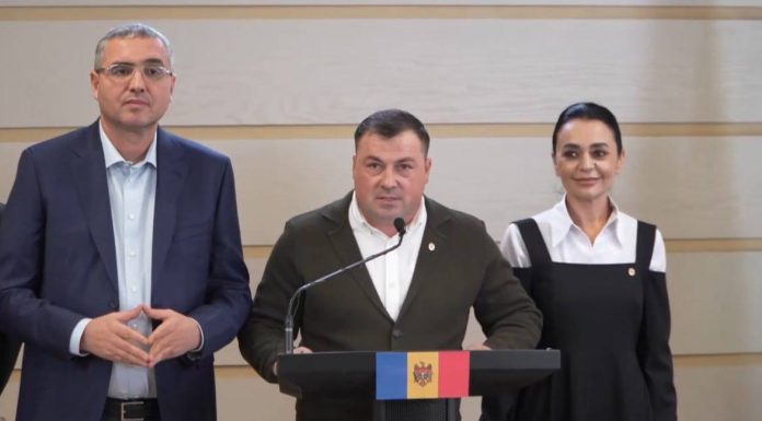 Berlinschii solicită publicarea CV-urilor miniștrilor propuși de Munteanu