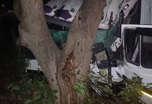 Accident mortal la Briceni: un camion s-a izbit într-un copac