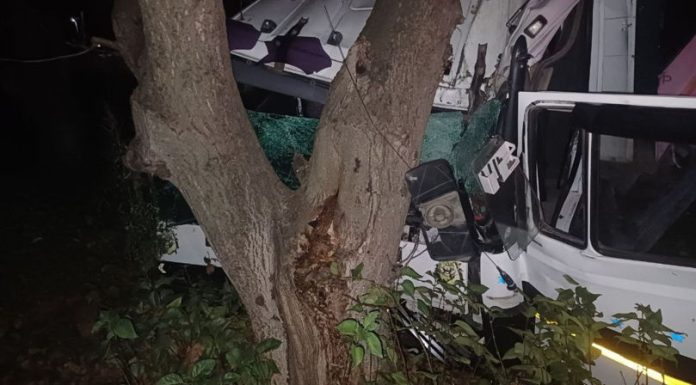 Accident mortal la Briceni: un camion s-a izbit într-un copac