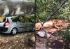 Pericol în curtea unui bloc din Chișinău: un plop uriaș s-a prăbușit peste o mașină