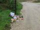Gunoi aruncat pe drum în Râșcani: Făptașul identificat și amendat