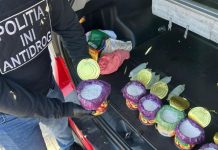 Rețea de distribuție în scop comercial demontată: Droguri vândute prin Telegram