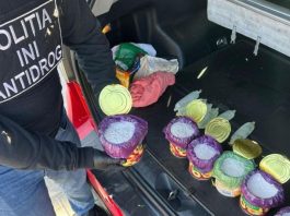 Rețea de distribuție în scop comercial demontată: Droguri vândute prin Telegram