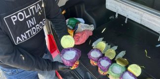 Rețea de distribuție în scop comercial demontată: Droguri vândute prin Telegram