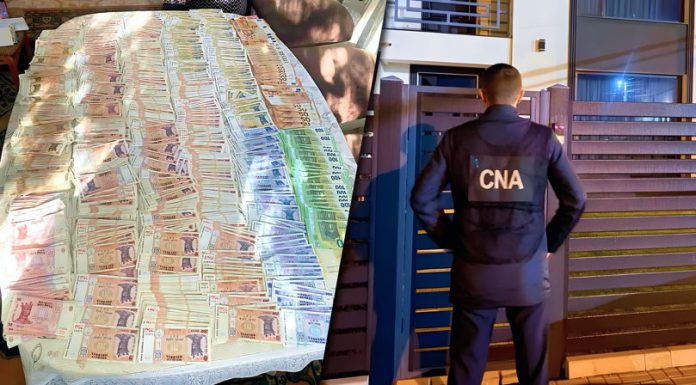 Peste 50 de percheziții în Călărași: Trei persoane reținute într-o schemă de corupție privind permisele auto