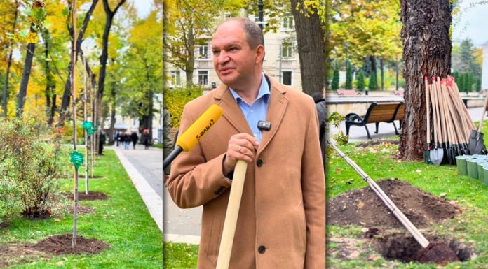 Arbori plantați în Parcul Catedralei Mitropolitane de Primăria Chișinău și diplomați