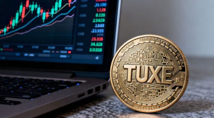 Şapte persoane reţinute în dosarul piramidei financiare TUX