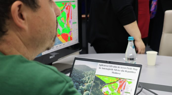 Modernizare în silvicultură: sisteme digitale și camere video pentru protejarea fondului forestier