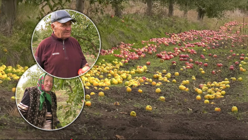 c001252193cbf4a93e48993e0023e2d5