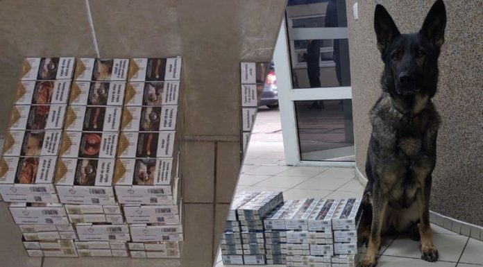 Tentative de contrabandă spre Belgia și România, oprite la Cahul