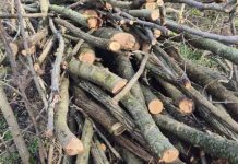 Controale în Leova: amenzi și procese-verbale pentru încălcări grave de mediu